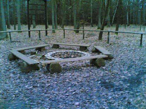 uslugi_lesne_01.jpg