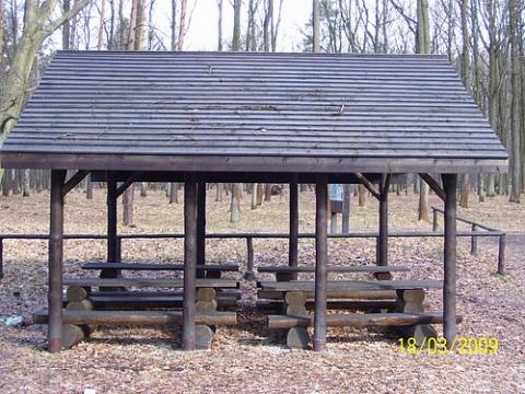 uslugi_lesne_13.jpg