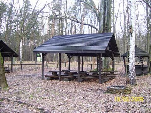 uslugi_lesne_15.jpg
